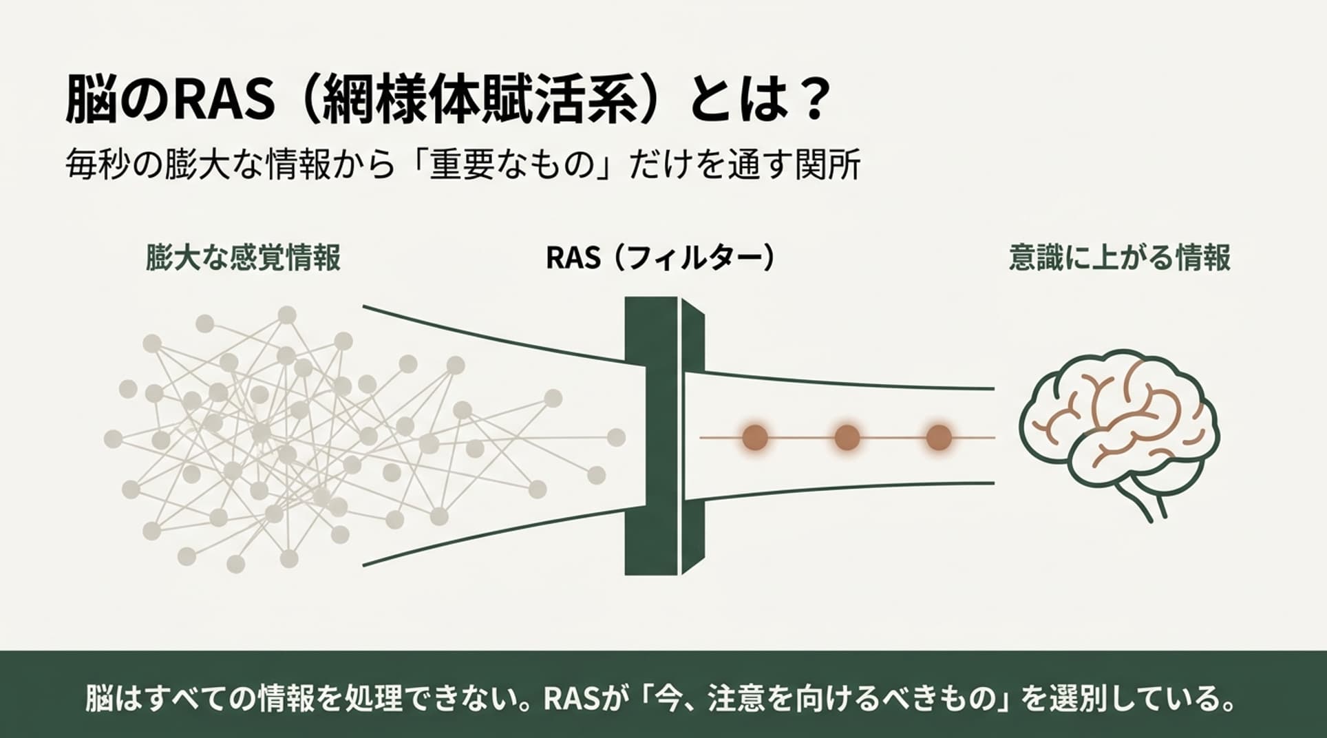 一般社団法人 日本NLP能力開発協会