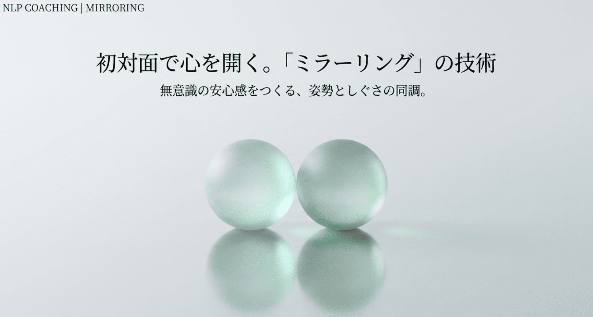 一般社団法人 日本NLP能力開発協会